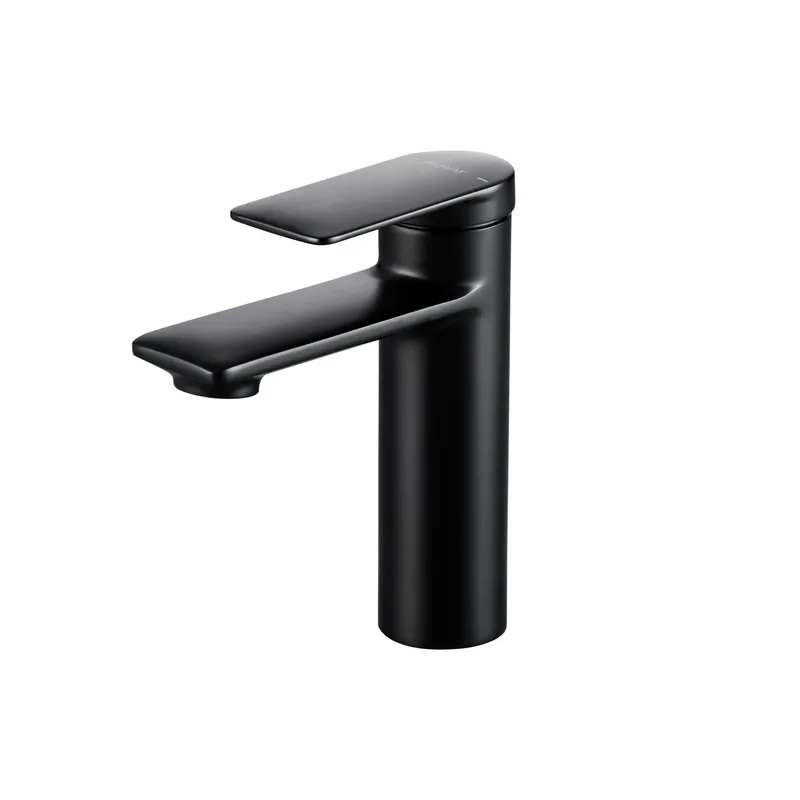 Vòi Lavabo Nóng Lạnh BRAVAT F1369402BW-ENG