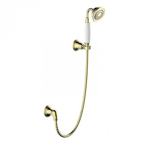 Bát sen tắm cầm tay cao cấp Bravat D277BAF-ENG