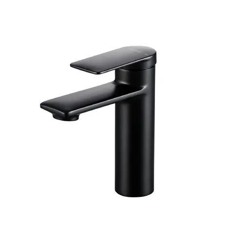 Vòi Lavabo Nóng Lạnh BRAVAT F1369402BW-ENG