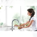 Vòi rửa bát nóng lạnh cao cấp Bravat F7196243CP-RG