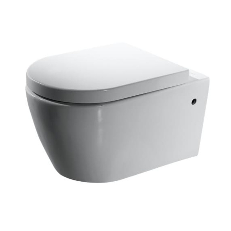 Bồn cầu treo tường nắp êm BRAVAT C2190UW-1-ENG