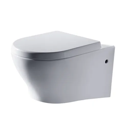 Bồn cầu treo tường Đức BRAVAT C01017W-A