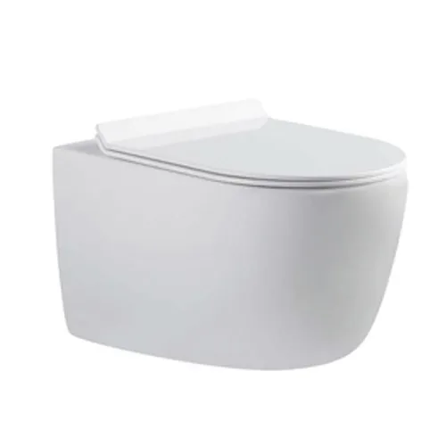 Bồn cầu treo tường nắp êm BRAVAT C21172UW