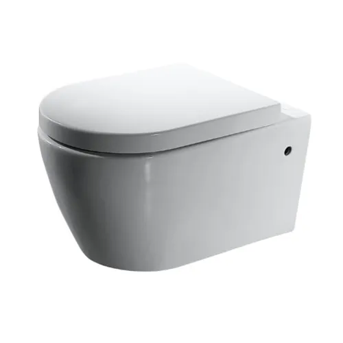 Bồn cầu treo tường nắp êm BRAVAT C2190UW-1-ENG