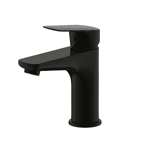 Vòi Lavabo Nóng Lạnh BRAVAT F1429564BW-9Màu Đen