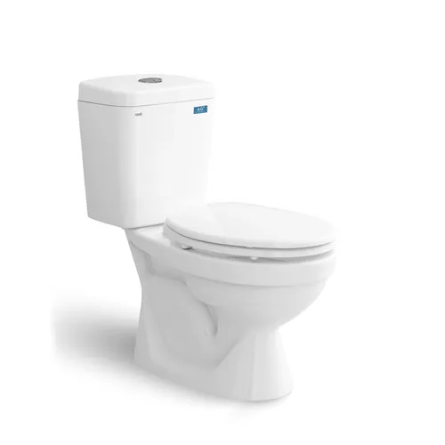 Bồn Cầu 2 khối Nắp Thường SanFi S202