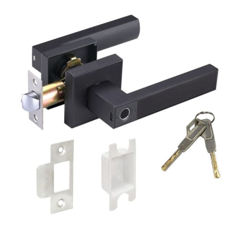 Bộ tay nắm cửa điện tử Esther Karat EAE-01-114-55