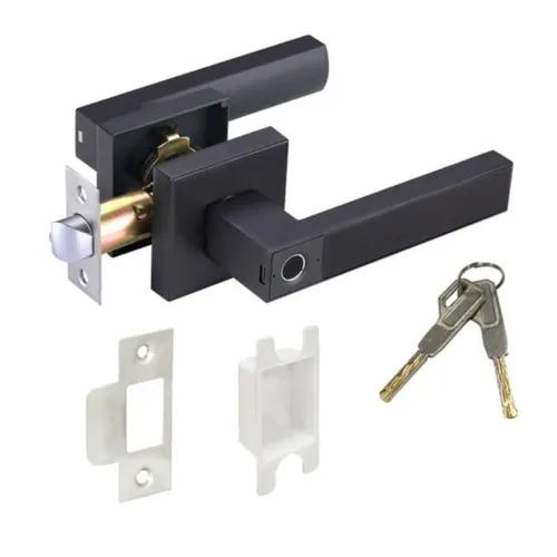 Bộ tay nắm cửa điện tử Esther Karat EAE-01-114-55