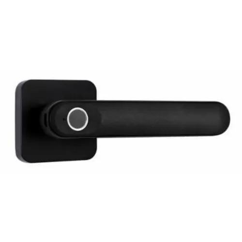 Bộ tay nắm cửa điện tử Esther Karat EAE-03-110-55