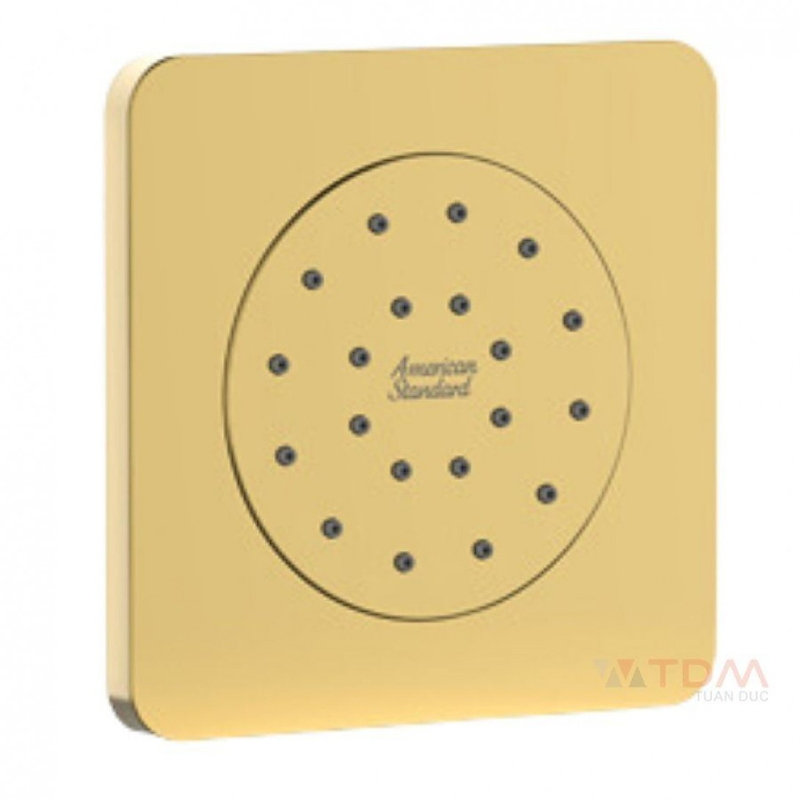 Đầu Sen Âm Tường Màu Vàng Bóng American Standard FFASS054CS 
