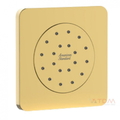 Đầu Sen Âm Tường Màu Vàng Bóng American Standard FFASS054CS 