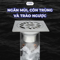 Ga thoát inox thoát nước nhanh ngăn mùi Hiwin FD-8210 