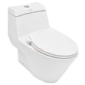 Bàn cầu liền 1 khối nắp rửa cơ American Standard VF-2010SW
