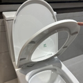 Nắp Êm Bàn Cầu Rơi Êm Caesar M260