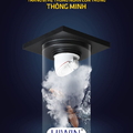 Ga thoát sàn siêu nhanh Hiwin FD-1415