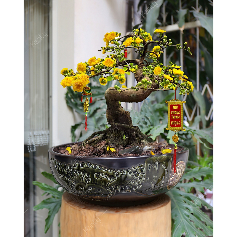 Chậu lavabo mỹ thuật bằng sứ Kanly SU142