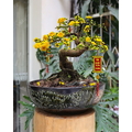 Chậu lavabo mỹ thuật bằng sứ Kanly SU142