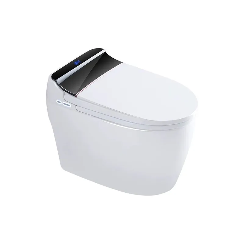 Bồn cầu thông minh cao cấp Hiwin MT-888