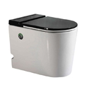 Bồn cầu không két nước nắp màu Hiwin MT-6040