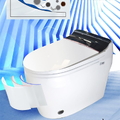 Bồn cầu thông minh cao cấp Hiwin MT-888