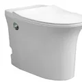 Bồn cầu không két nước Hiwin MT-S2060