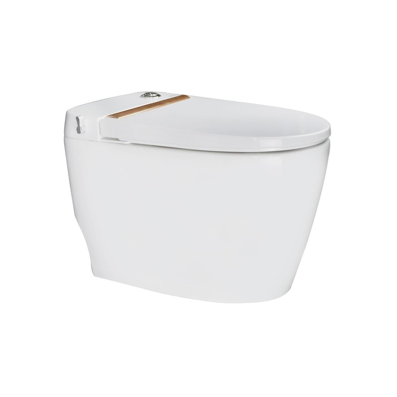 Bồn cầu két nước âm Hiwin MT-240