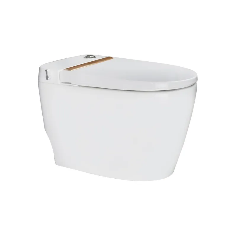 Bồn cầu két nước âm Hiwin MT-240