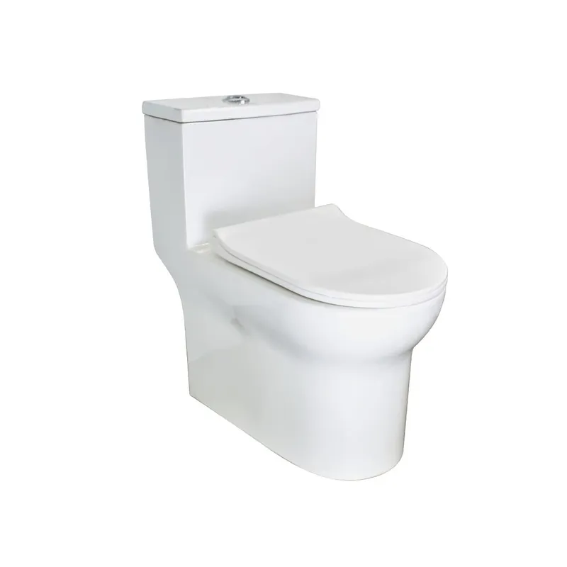 Bồn cầu nguyên khối cao cấp HIWIN MT-5015