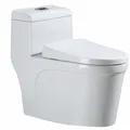 Bồn cầu nguyên khối cao cấp HIWIN MT-2216