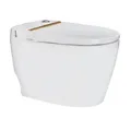 Bồn cầu két nước âm Hiwin MT-240