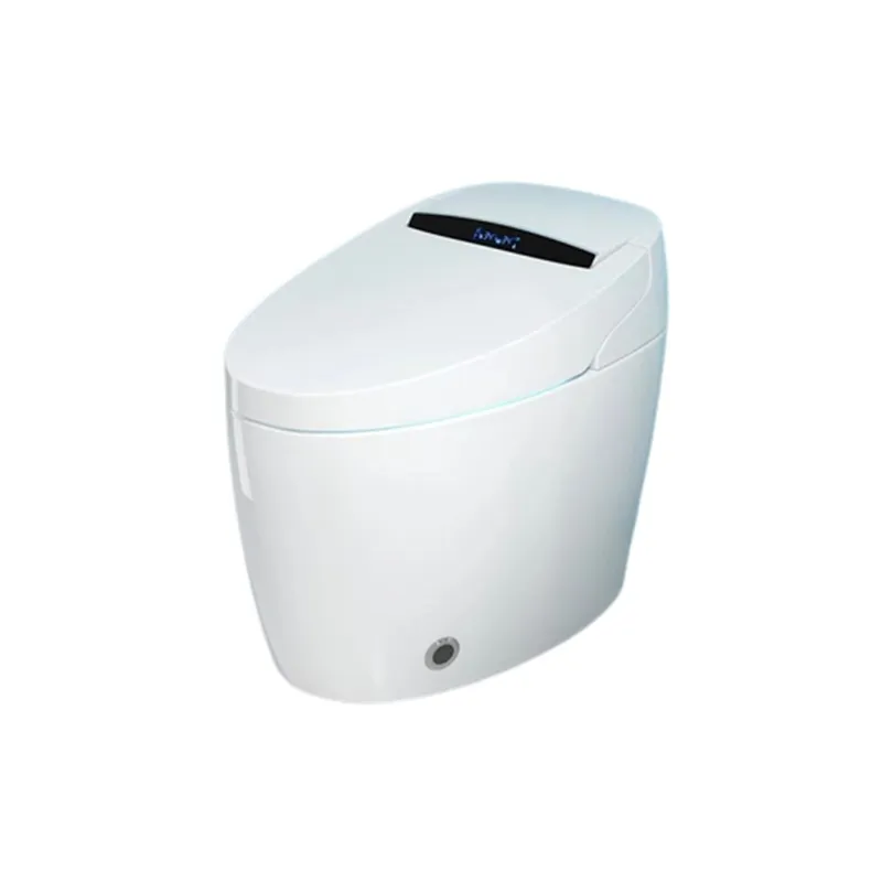 Bồn cầu thông minh không két nước HIWIN MT-333