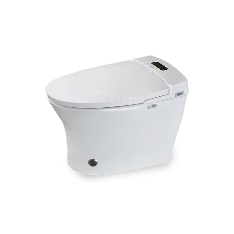 Bồn cầu thông minh cao cấp HIWIN MT-666