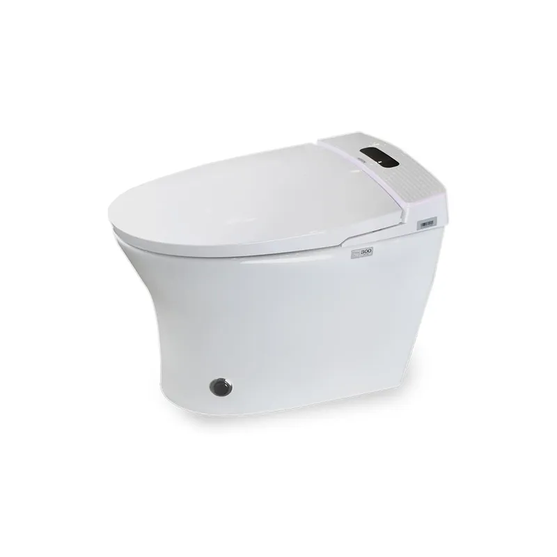 Bồn cầu thông minh cao cấp HIWIN MT-666