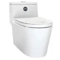 Bồn cầu nguyên khối cao cấp HIWIN MT-211W