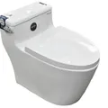 Bồn cầu nguyên khối cao cấp HIWIN MT-820