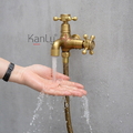 Sen tắm lạnh bằng đồng Kanly GCS15