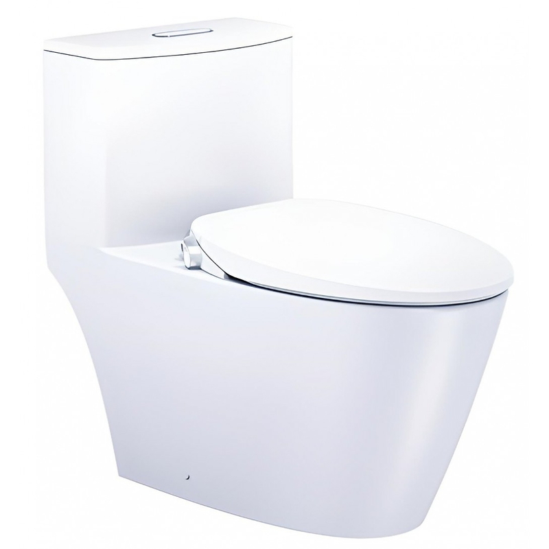 Bồn cầu 1 khối nắp rửa cơ Caesar C1363F+TAF060
