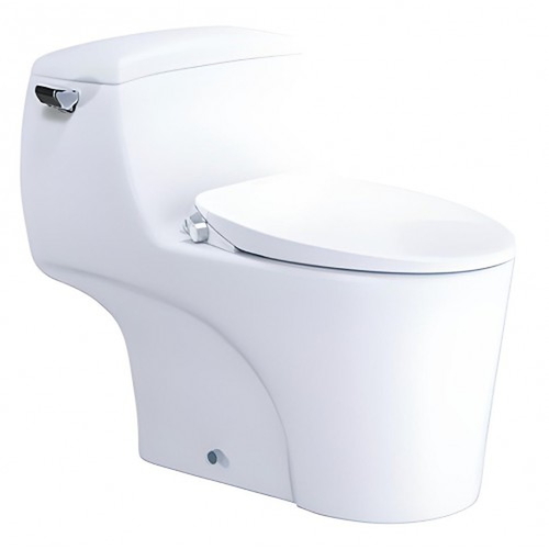 Bồn cầu 1 khối nắp rửa cơ Caesar C1353F+TAF060