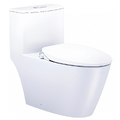 Bồn cầu 1 khối nắp rửa cơ Caesar C1363F+TAF060