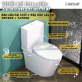 Bồn cầu 2 khối nắp rửa cơ Caesar CD1342/TAF060