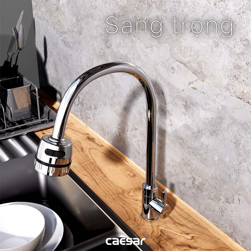 Vòi Rửa Bát Lạnh Cần Cứng Gắn Chậu Caesar K035CV