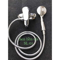 Sen tắm đồng liền vòi lavabo hai chân Kagol SL01