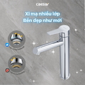 Vòi Lavabo Lạnh 1 Chân Caesar B191C