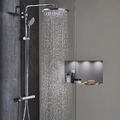 Sen Cây Tắm Nhập Khẩu Đức Grohe 26075001