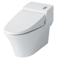 Thân bệt Inax AC-1008VRN/FR.C-1008R/BW1