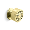 Sen tắm gắn tường màu vàng Kallista P22076-00-ULB
