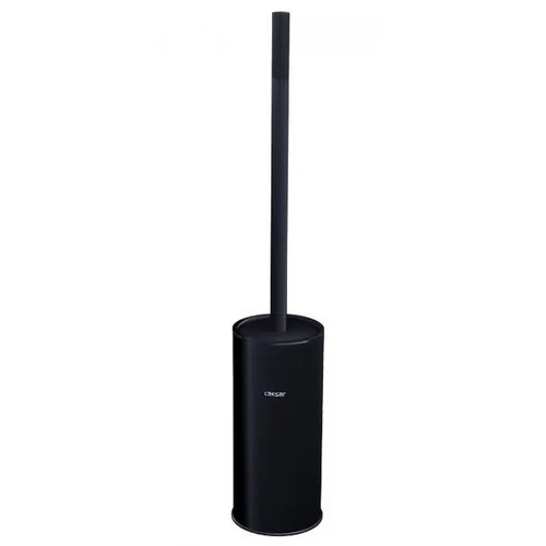 Chổi cọ phòng vệ sinh Caesar Q6308B