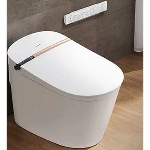 Bồn cầu thông minh Jomoo ZD7400-S2-CJM305
