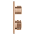 Mặt Nạ Sen Âm Tường Đức Grohe 29181DL2