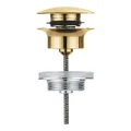 Nút Nhấn Xả Lavabo Đức Grohe 65807GN0